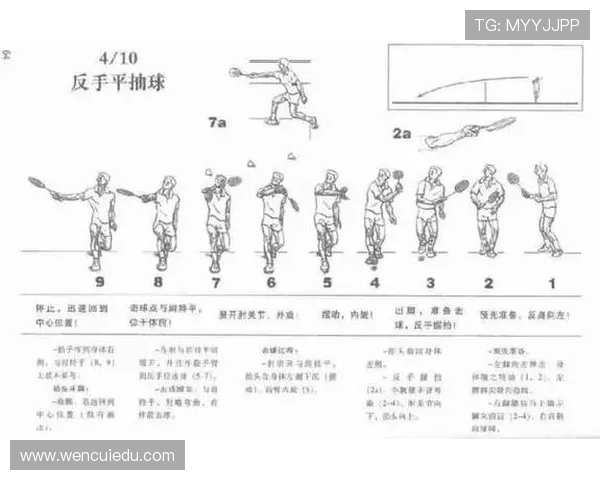 从零基础到乒乓球高手的全面技术提升指南与实战技巧分享