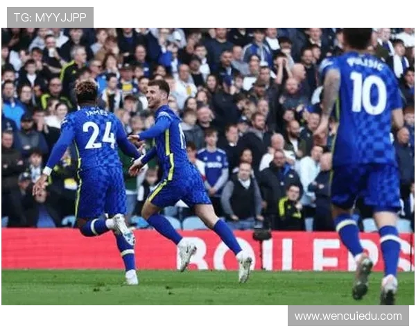 切尔西与利兹联对决分析：战术布局与球员表现的全面解读