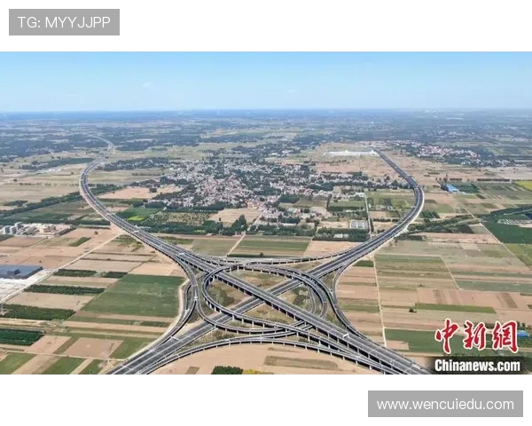 加维的崛起与未来发展潜力分析探讨