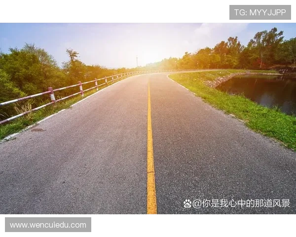 张宁：从平凡到卓越的奋斗之路，如何在逆境中实现自我超越与成长